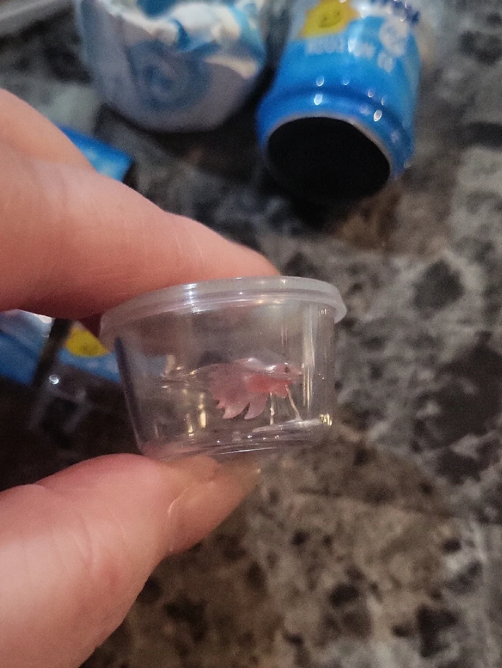 Miniverse Make It Mini Lifestyle Pink Betta